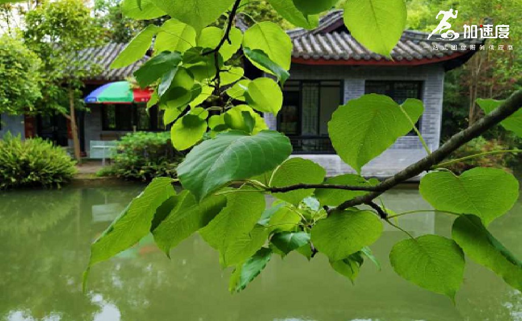 映月湖(hú)3.jpg